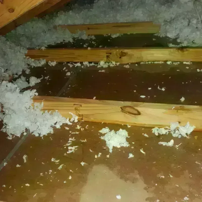 Attic Water Damage in Nashville, AR