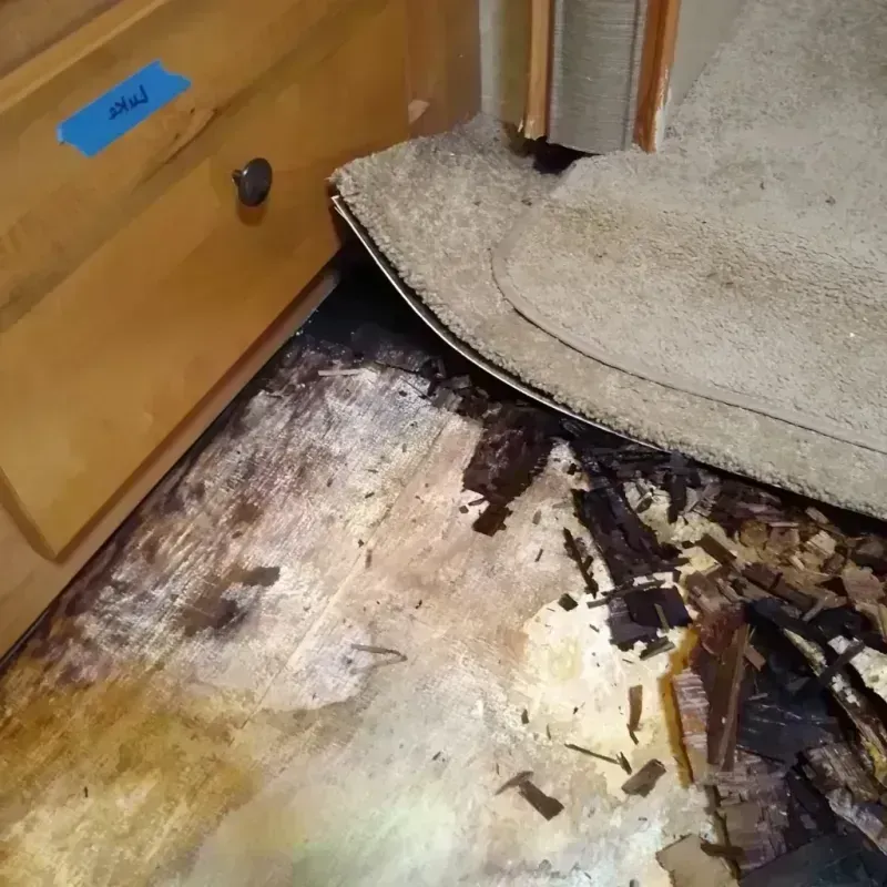 Wood Floor Water Damage in Nashville, AR